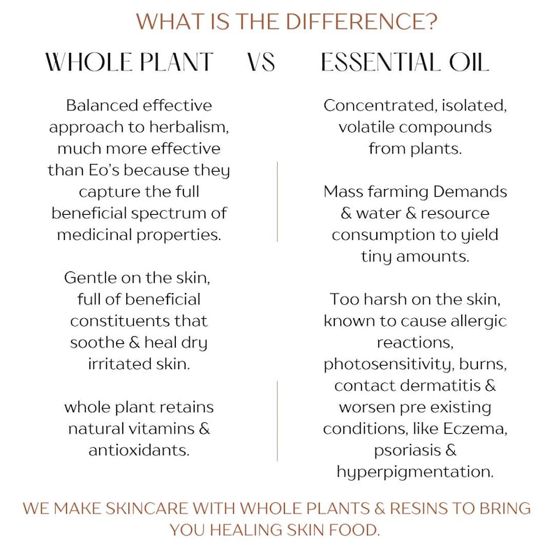 Puede incluir: Un gr&aacute;fico informativo titulado WHAT IS THE DIFFERENCE? que compara WHOLE PLANT frente a ESSENTIAL OIL. El texto describe los beneficios de las plantas enteras para la piel frente a la naturaleza concentrada y vol&aacute;til de los aceites esenciales y sus riesgos.
