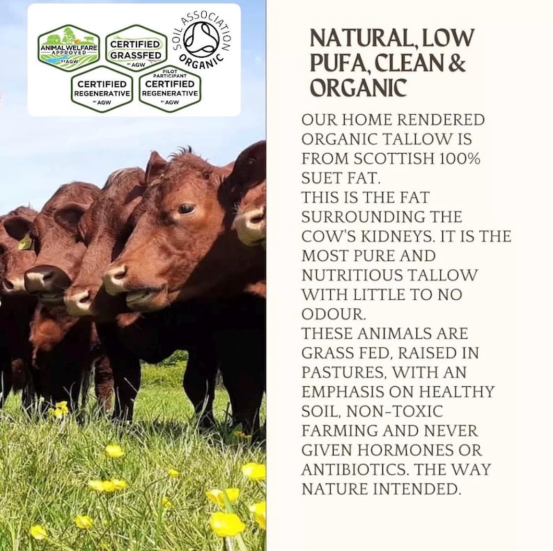 Puede incluir: Un grupo de vacas marrones en un pasto verde con flores amarillas. El texto dice: NATURAL, LOW PUFA, CLEAN & ORGANIC. OUR HOME RENDERED ORGANIC TALLOW IS FROM SCOTTISH 100% SUET FAT. THIS IS THE FAT SURROUNDING THE COW'S KIDNEYS. LOGOS CERTIFICADOS INCLUIDOS.