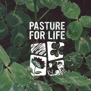 Op de afbeelding: Witte tekst op een groene achtergrond luidt "Pasture for Life". De tekst wordt omringd door vier zwart-wit illustraties: een koe, een bloem, een klavertjevier en een grasveld.