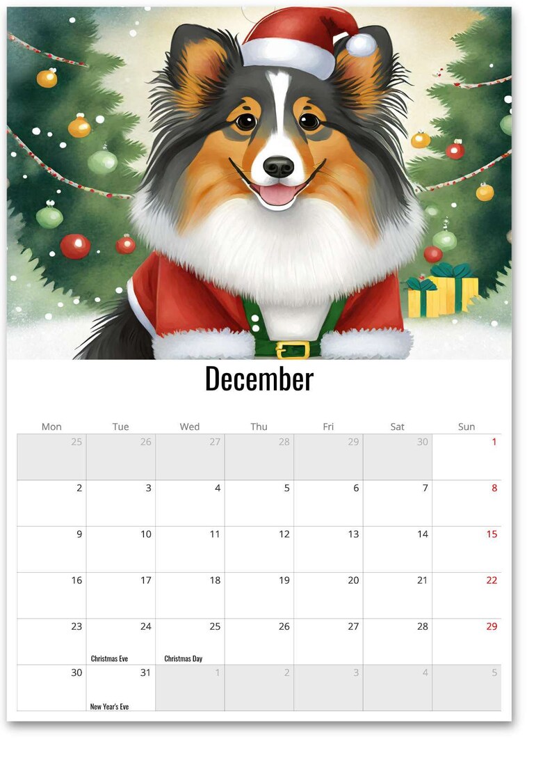 Sheltie 2024 Wall Calendar Cute Shetland Sheepdog Illustrations, Dog