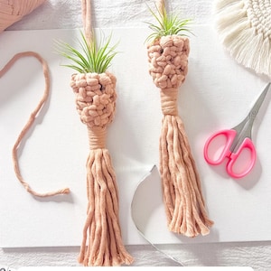 May include: Two handmade macrame plant hangers with air plants, in a light peach color, are displayed on a white surface. The hangers have a woven design and a tassel at the bottom. The text "DIY Mini Macrame Plant Hanger Kit - Beginner" is visible.
