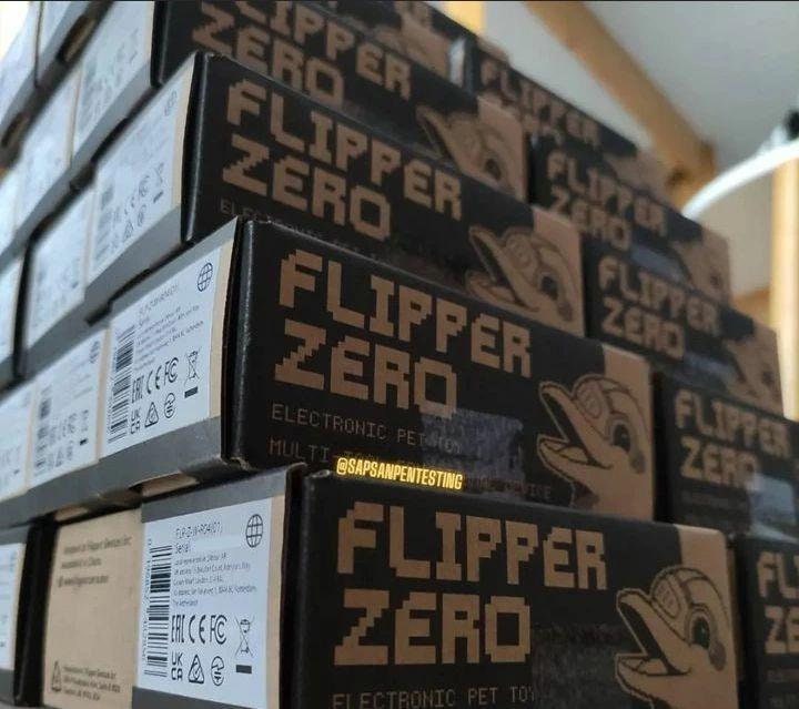 Flippers Zeros Electronic Multitool Educational Device Pet Etsy