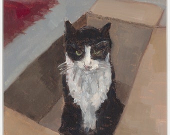 May include: A black and white cat sits inside a brown cardboard box. The cat is looking directly at the viewer with a serious expression.