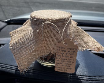 Apple Cinnamon Simmer Pot