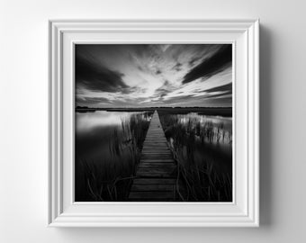 Impression paysage noir et blanc des Norfolk Broads du parc national des Norfolk Broads