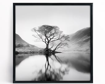 May include: Black and white framed print of a tree on the edge of a lake. The tree's reflection mirrors in the water. Mountains and a cloudy sky are in the background. The artwork is in a square format.
