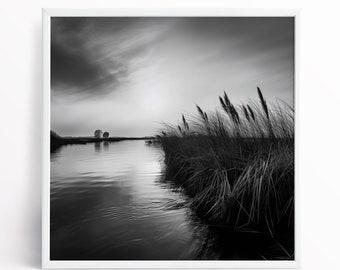 Impression paysage noir et blanc des Norfolk Broads du parc national des Norfolk Broads