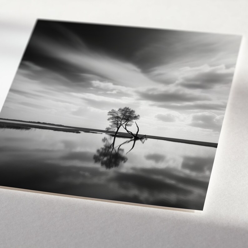 Impression paysage noir et blanc des Norfolk Broads du parc national des Norfolk Broads image 5
