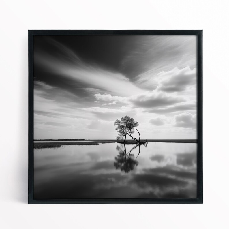 Impression paysage noir et blanc des Norfolk Broads du parc national des Norfolk Broads image 2