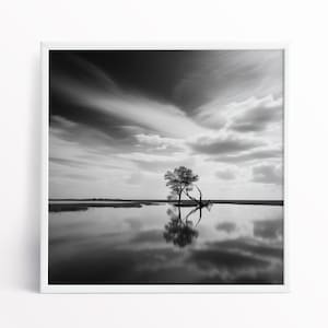 Impression paysage noir et blanc des Norfolk Broads du parc national des Norfolk Broads image 3
