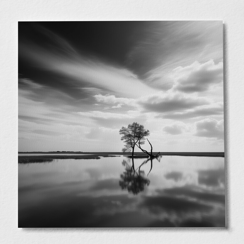 Impression paysage noir et blanc des Norfolk Broads du parc national des Norfolk Broads image 4