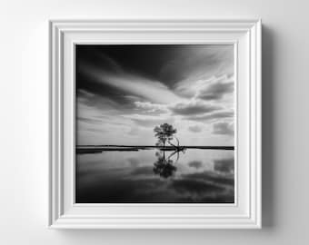 Norfolk Broads Impresión de paisaje de bellas artes en blanco y negro del Parque Nacional Norfolk Broads