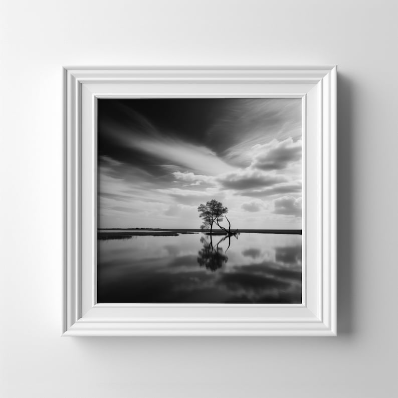 Impression paysage noir et blanc des Norfolk Broads du parc national des Norfolk Broads image 1