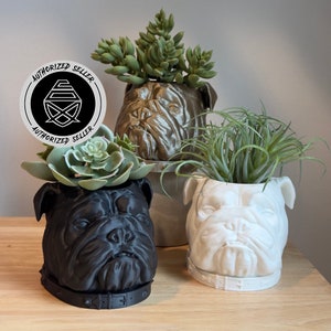 English Bulldog Planter Pot - Unique Plant Pot - Succulent Pot - 3D Printed - Pipe Cox