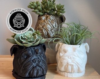 English Bulldog Planter Pot - Unique Plant Pot - Succulent Pot - 3D Printed - Pipe Cox