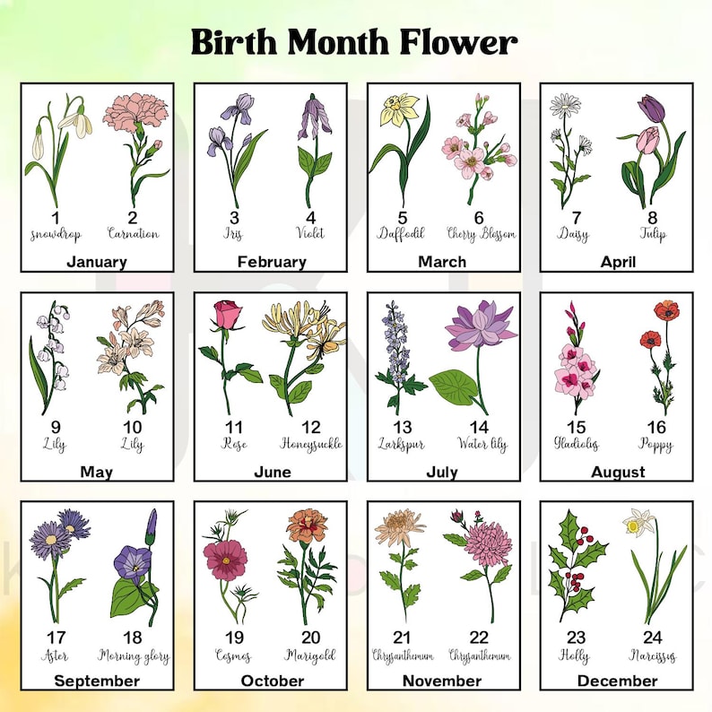 May include: A floral chart displaying birth month flowers. The illustrations include snowdrop, carnation, iris, violet, daffodil, cherry blossom, daisy, tulip, lily, rose, honeysuckle, larkspur, water lily, poppy, aster, morning glory, cosmos, marigold, chrysanthemum, holly, and narcissus.
