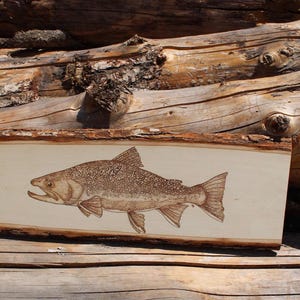 23”x8” Brook Trout Pyrography Piece
