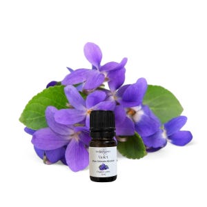 Può includere: Una piccola bottiglia di vetro scuro di olio essenziale di violetta è posta davanti a un gruppo di fiori di violetta viola e foglie verdi. La bottiglia ha un tappo nero e un'etichetta bianca con le parole "Violet" e "Organic, pure 5 ml."