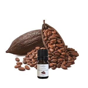 May include: A small, dark glass bottle of cocoa essential oil with a black cap, labelled "Cocoa Theobroma Cacao Absolute." The bottle is surrounded by cocoa beans and pods, with a split pod revealing the beans. The image is set against a white background.