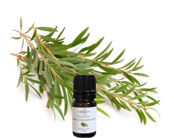 Aceite esencial de árbol de té, orgánico, puro y natural.