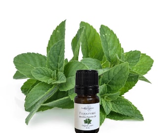 Aceite esencial de menta piperita, orgánico, puro y natural