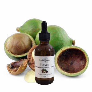 Tamanu Seed Oil, Cold Pressed, USDA Certified Organic, Unrefined, 100% Pure, Natural