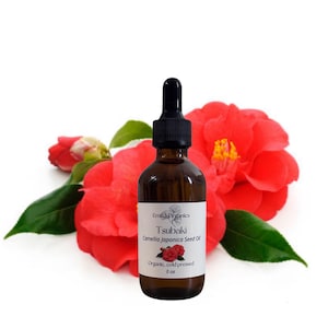 Camellia Japonica Seed Oil - Etsy