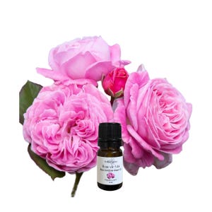 Organic Rose de Mai Essential Oil: 100% Pure, Moroccan Rose Otto
