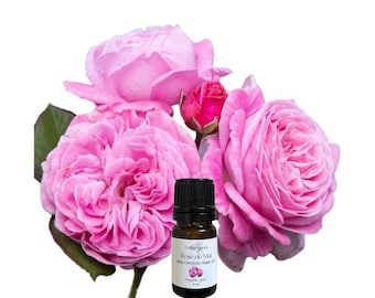 Rose de Mai Essential Oil, Moroccan Rose Otto, Organic, Pure, Natural