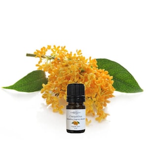 Osmanthus Absolute Oil, USDA Certified Organic, 100% Pure, Natural