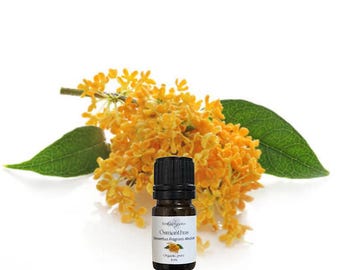 May include: A small, dark glass bottle of Osmanthus essential oil sits in front of a cluster of bright yellow flowers and green leaves. The bottle has a black cap and a white label with text and a small flower illustration. The background is white.
