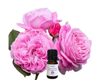Olio essenziale di rosa di maggio, biologico, puro, naturale