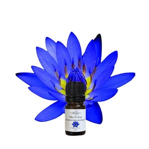 Blue Lotus Absolute Oil, USDA Certified Organic, 100% Pure, Natural