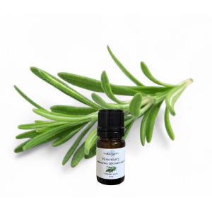 Rosemary Essential Oil, USDA Certified Organic, 100% Pure, Natural