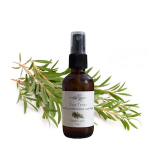 Tea Tree Hydrosol, USDA Certified Organic, 100% Pure, Natural
