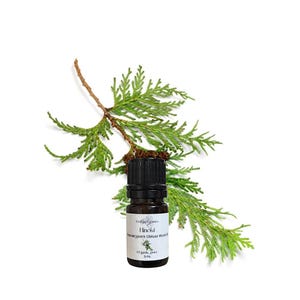 Organic Hinoki Wood Essential Oil: Japanese Cypress, Aromatherapy