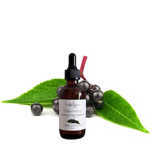 Puede incluir: Una botella de vidrio marrón de aceite de saúco con un cuentagotas negro, una etiqueta blanca y el texto "Emilia Organics Elderberry Sambucus Nigra Seed Oil". La botella está rodeada de bayas de saúco y hojas verdes. La botella contiene 59 ml de aceite.