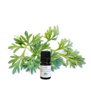 May include: A small, dark glass bottle of White Wormwood essential oil with a black cap, next to a sprig of green wormwood leaves. The bottle has a white label with text and a small illustration. The label reads "White Wormwood, Artemisia Herba Alba Leaf Oil".