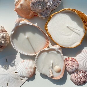 Handmade Seashell Candle | Ocean-Inspired Home Decor | Beach Candle | Coastal Gift