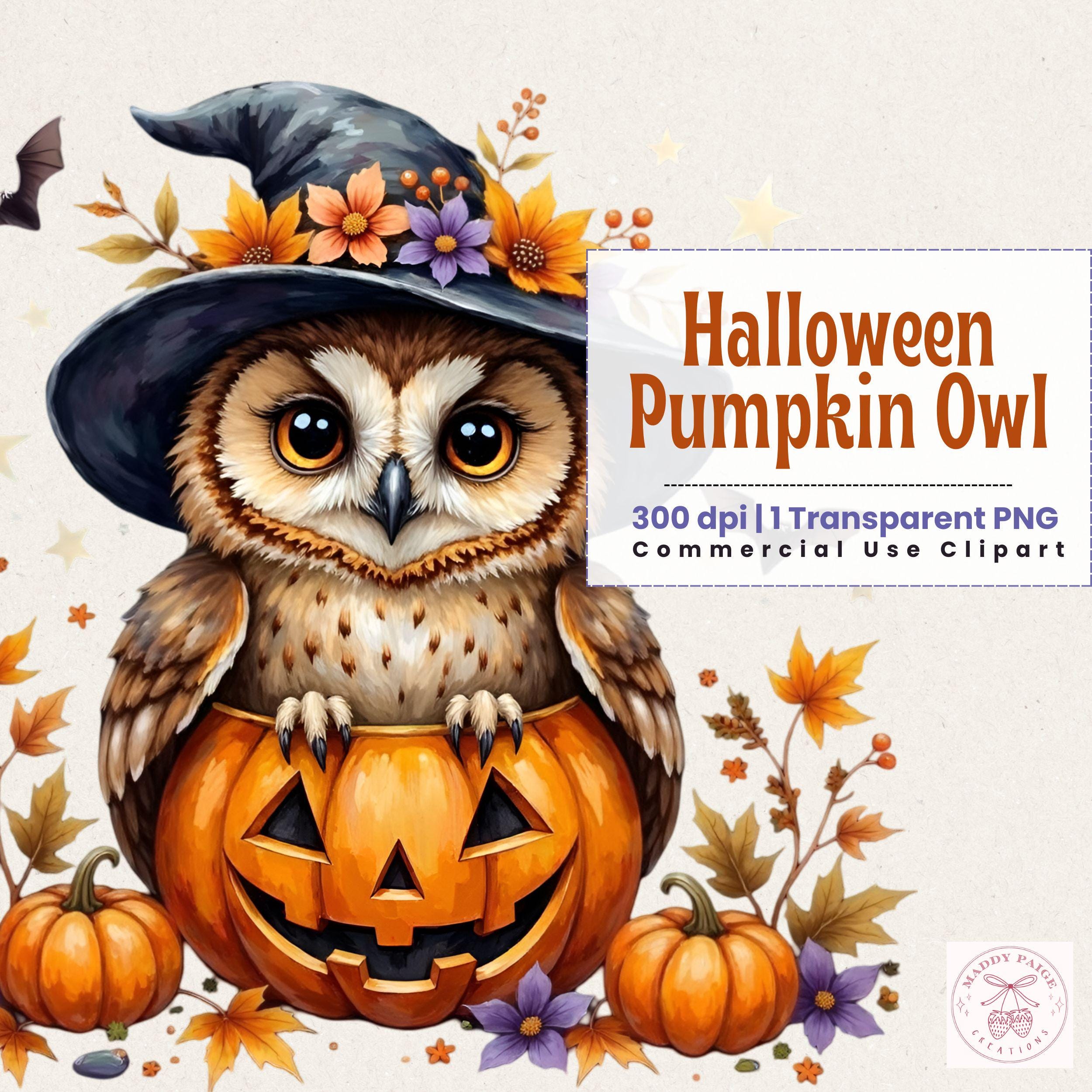 Halloween Owl Clipart: Witch Hat, Pumpkin, Autumn PNG (Digital Download