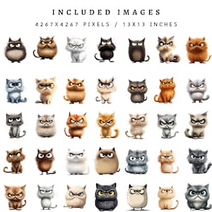 Funny Cat PNG Clipart Bundle, Illustrations, Cat Graphics For Digital & DIY Crafts, Scrapbook, Card Making Designs, Junk Journal, Printable