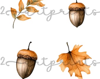 Höstlöv, pumpa, ekollon, PNG Clipart, höstgrafik, design, bildpaket | Transparenta bakgrunder