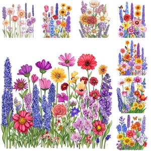 Flower Floral Borders Cardmaking Watercolor Journaling Wild Flower Botanical Clipart | 63 PNG