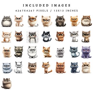 quirky animals