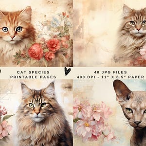 Afdrukbare kattenpapieren | Kattenpagina's | Cat Junk-dagboekpapier | 11 x 8,5 inch | Digitaal kattenpapier | 40 kattenprints | 15 bonuskattenpapier