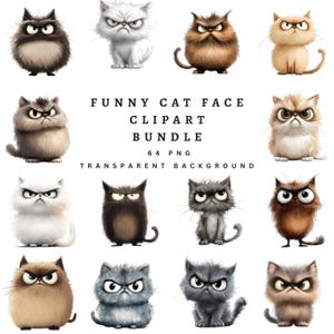 funny grumpy cats clipart bundle