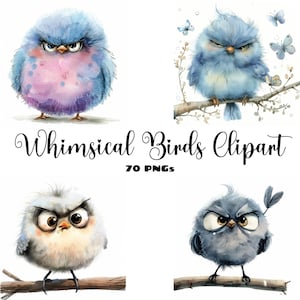 Pájaros caprichosos / Imágenes prediseñadas de pájaros divertidos / Pájaros lindos PNG / Imágenes prediseñadas de pájaros peculiares / Pájaro de acuarela PNG / 70 pájaros divertidos PNG / Uso comercial