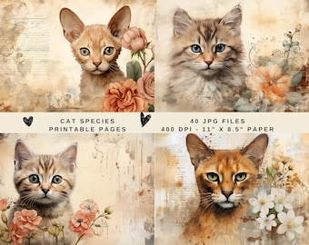 40 Cat Species Backgrounds, Cats Junk Journal Pages, Kitty Journal & Card Scrapbook Papers, Kitten Digital Print Designs, Printable Bundle