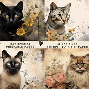 Printable Cat Species Papers | Cats Flower Pages | Cat Junk Journal Papers | Cat Digital Paper | 40 Cat Printables | 15 Whimsical Cat Papers