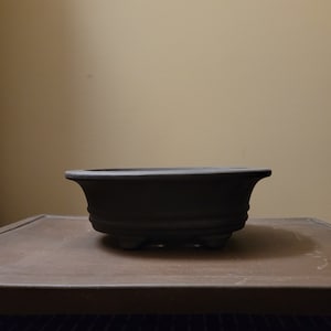 Peut inclure: Un pot à bonsaï en céramique gris foncé de forme ovale arrondie avec trois petits pieds. Le pot est posé sur une surface en bois brun.